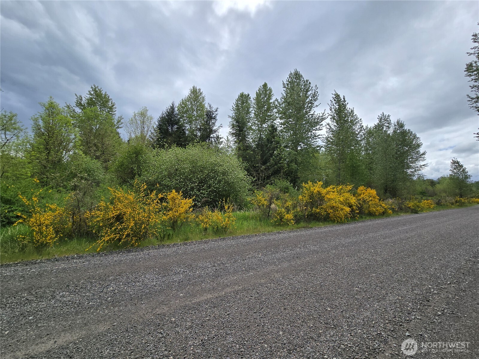 5102 Harts Lake Road Property Photo 6