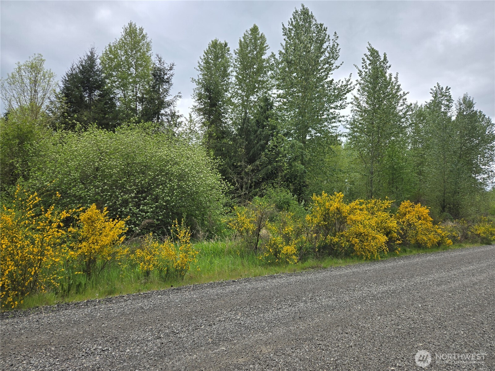 5102 Harts Lake Road Property Photo 7