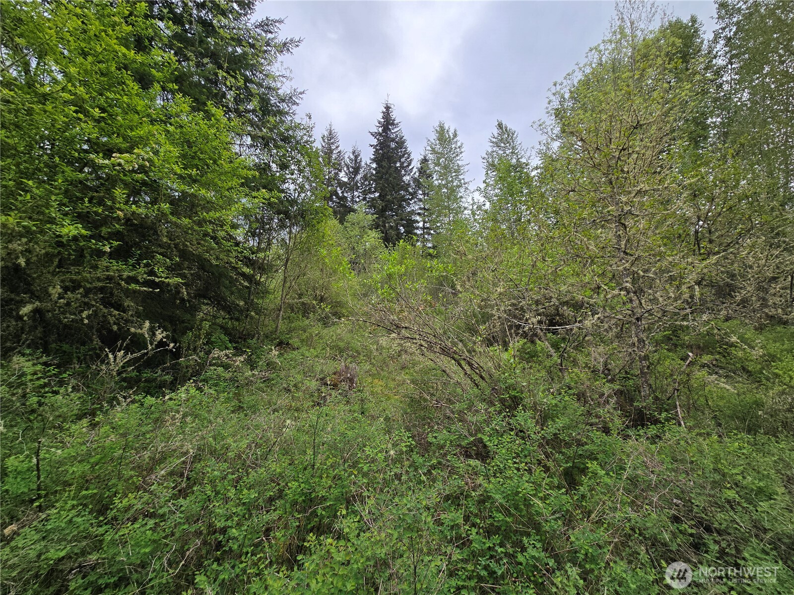 5102 Harts Lake Road Property Photo 8