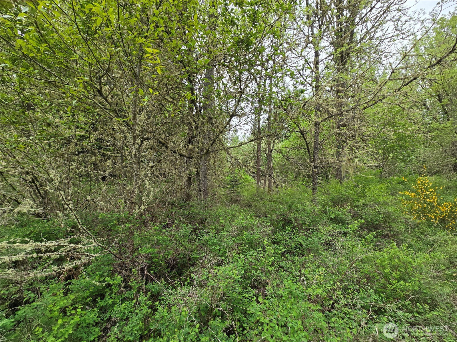 5102 Harts Lake Road Property Photo 9