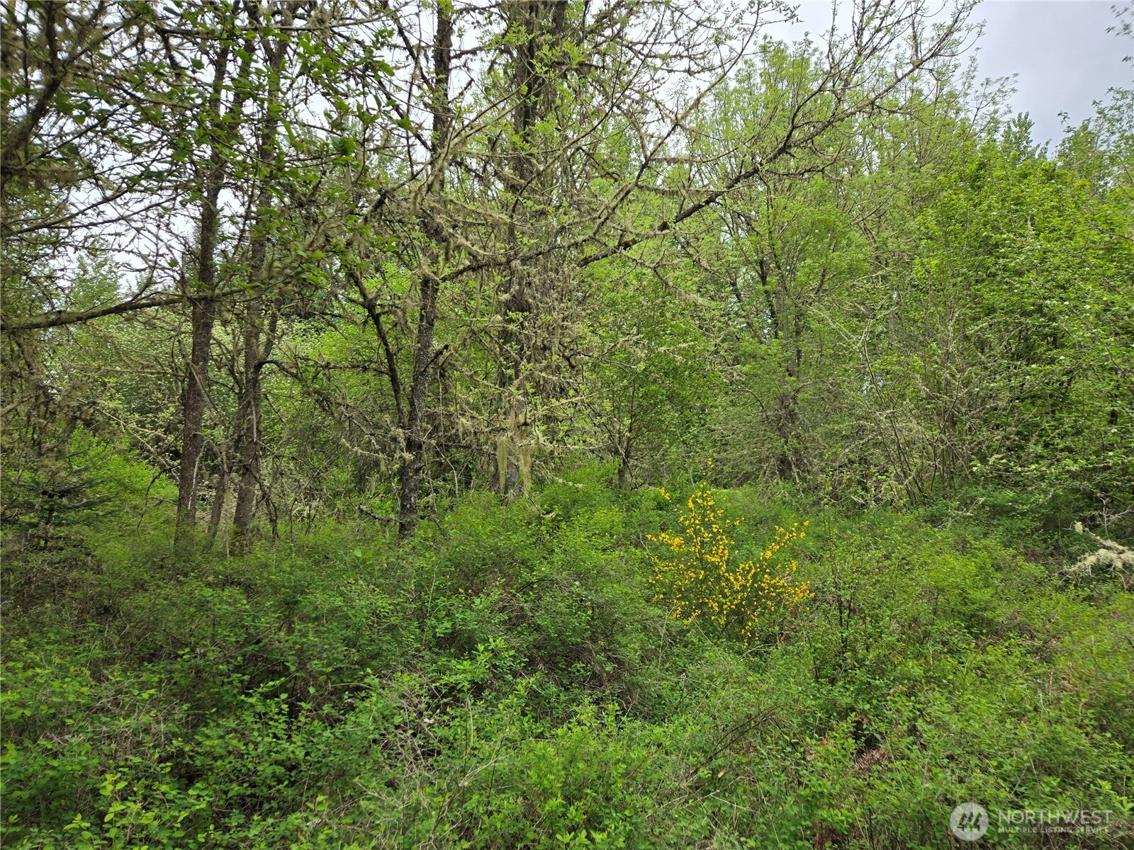 5102 Harts Lake Road Property Photo 10