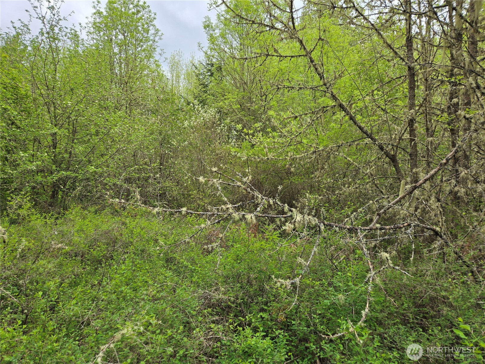 5102 Harts Lake Road Property Photo 11