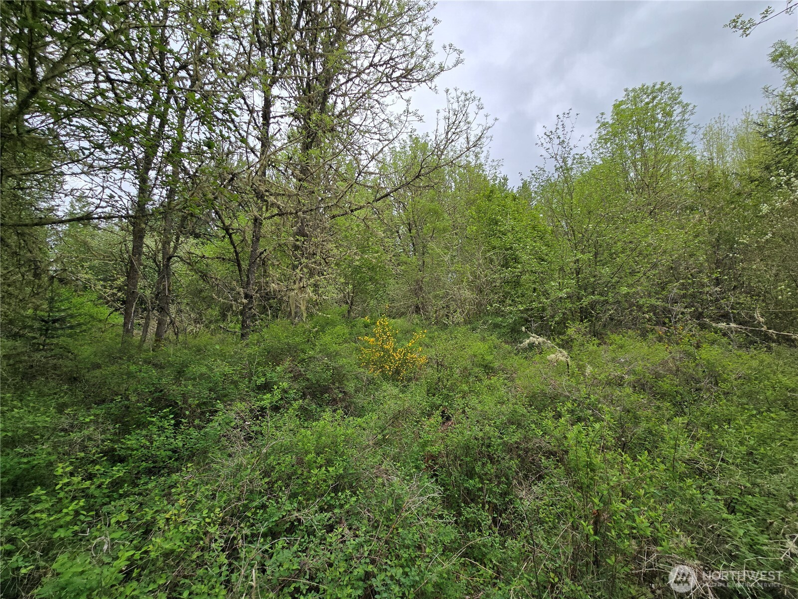 5102 Harts Lake Road Property Photo 12