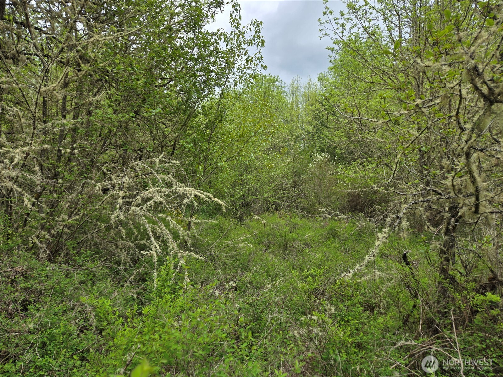 5102 Harts Lake Road Property Photo 13