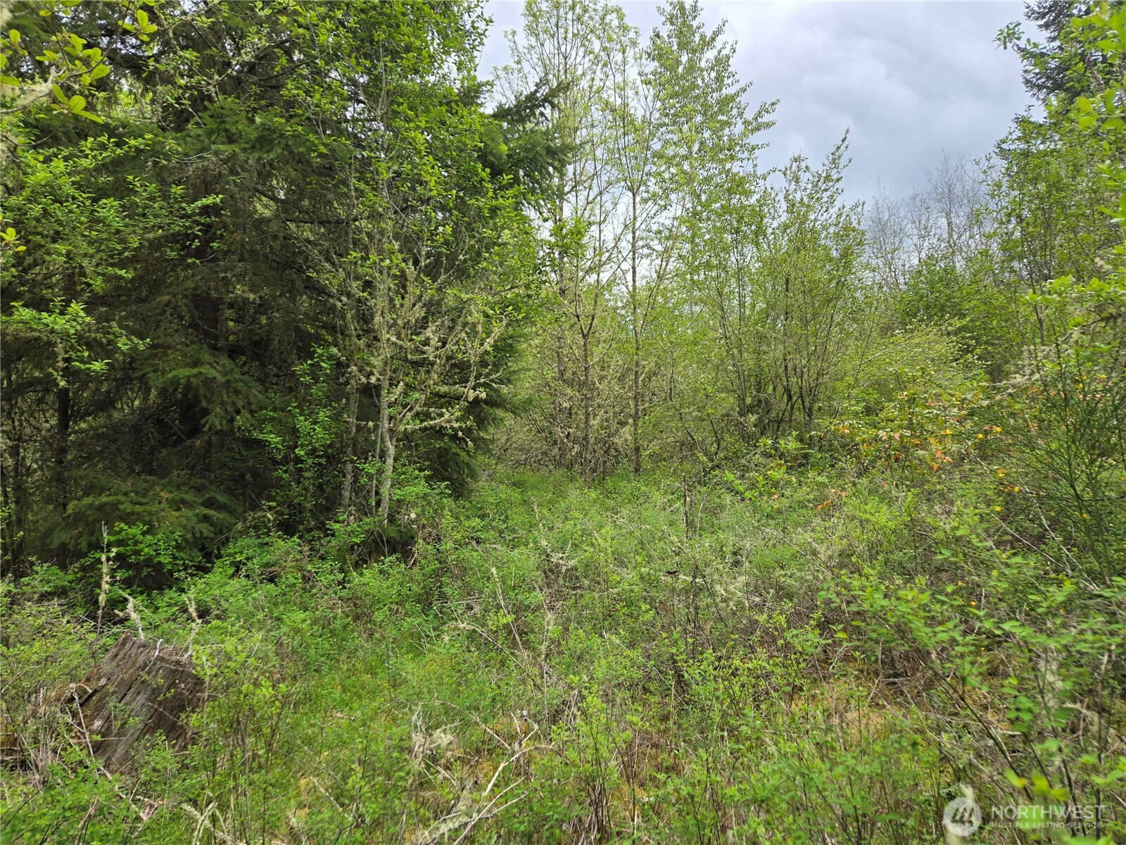 5102 Harts Lake Road Property Photo 14