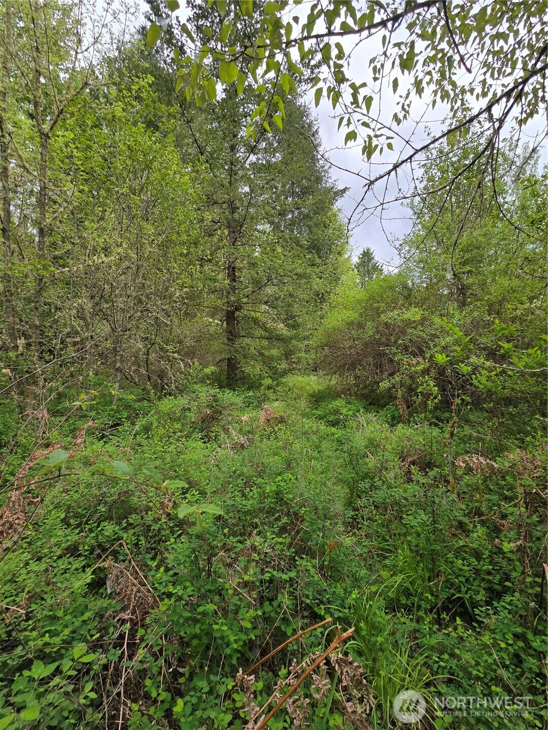 5102 Harts Lake Road Property Photo 15