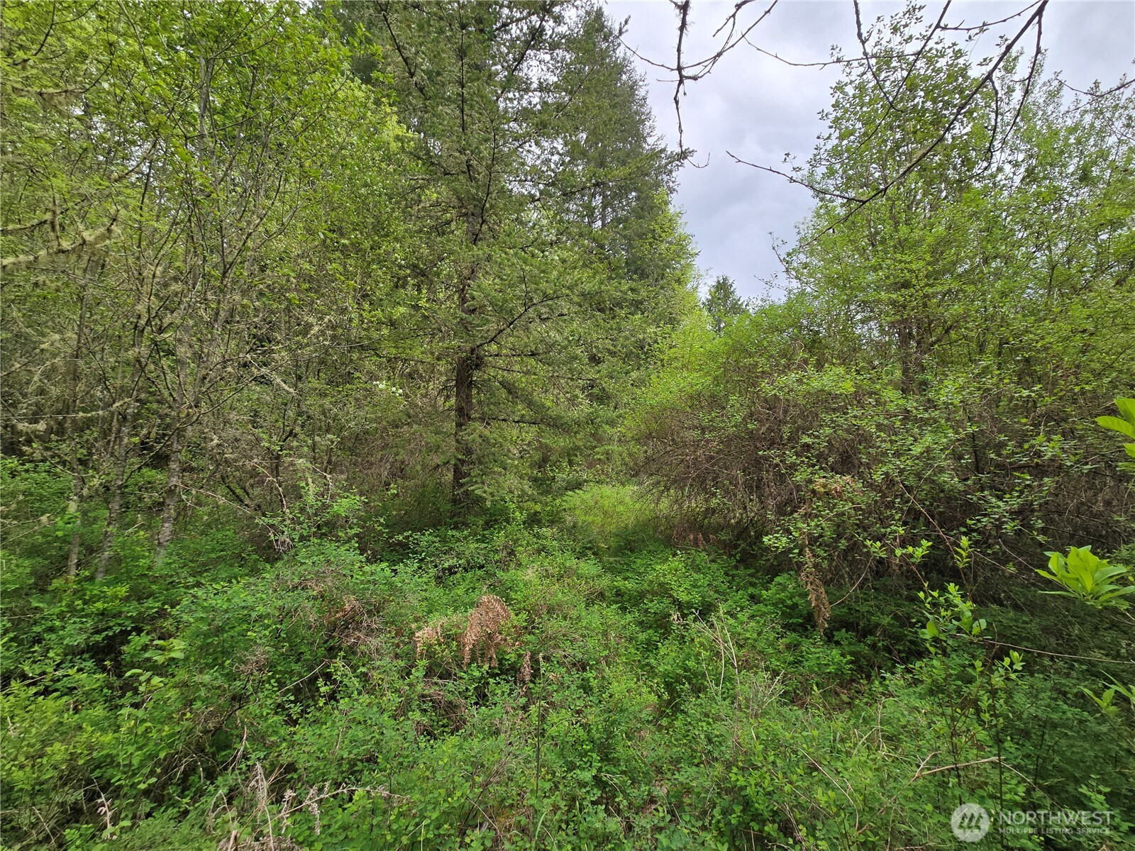 5102 Harts Lake Road Property Photo 16
