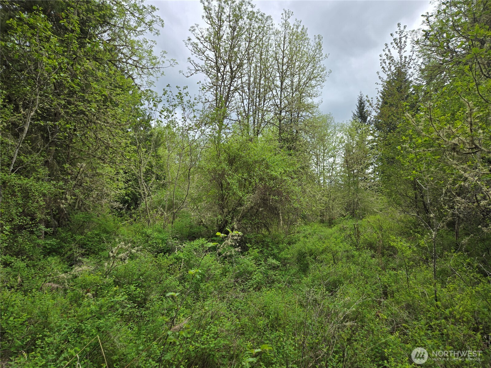 5102 Harts Lake Road Property Photo 17