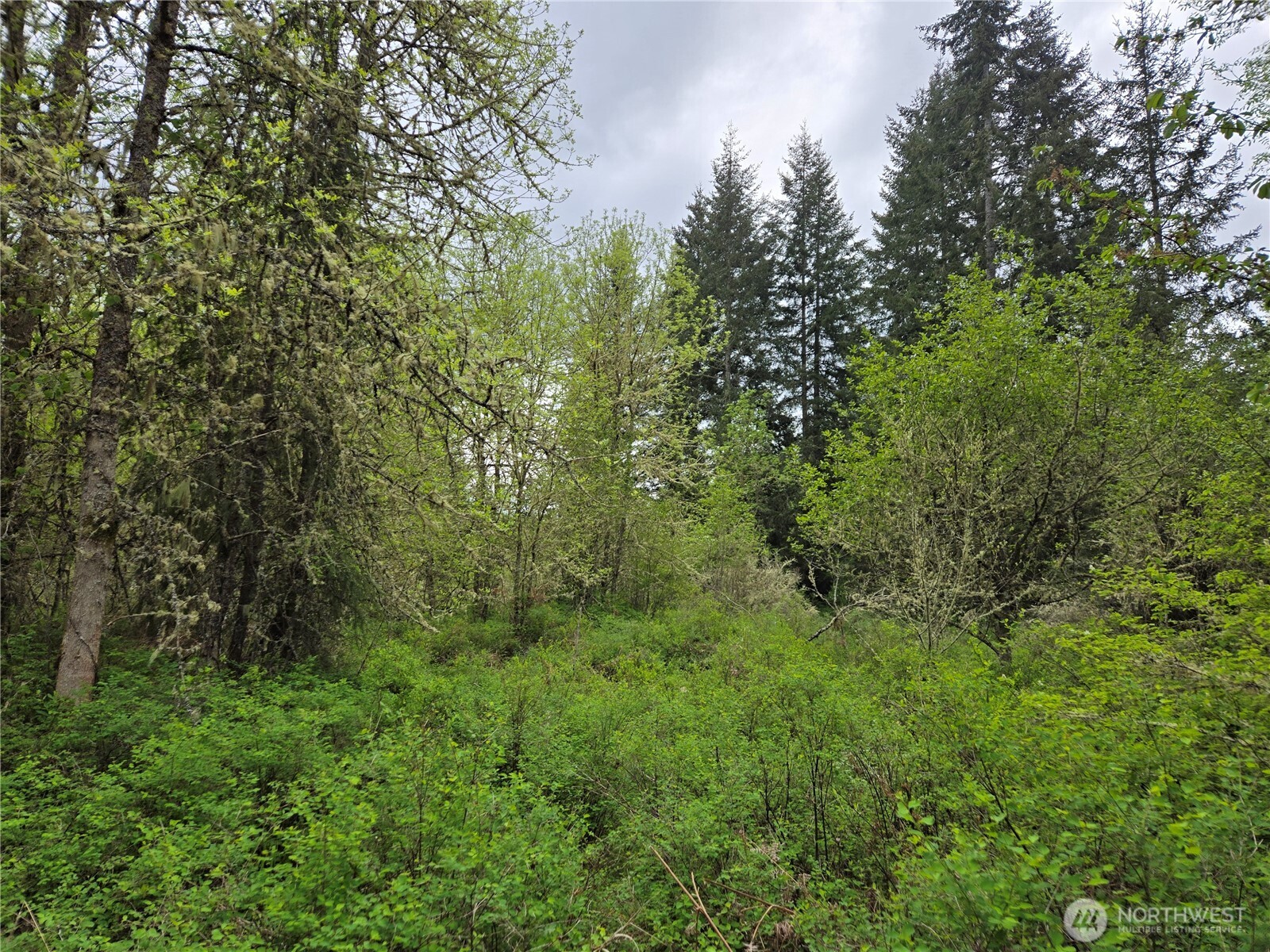 5102 Harts Lake Road Property Photo 18