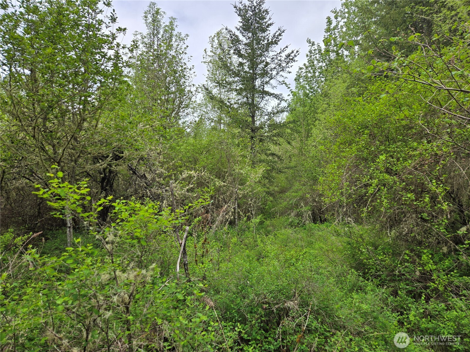 5102 Harts Lake Road Property Photo 19