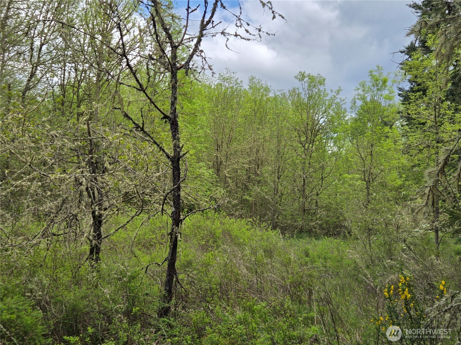5102 Harts Lake Road Property Photo 21