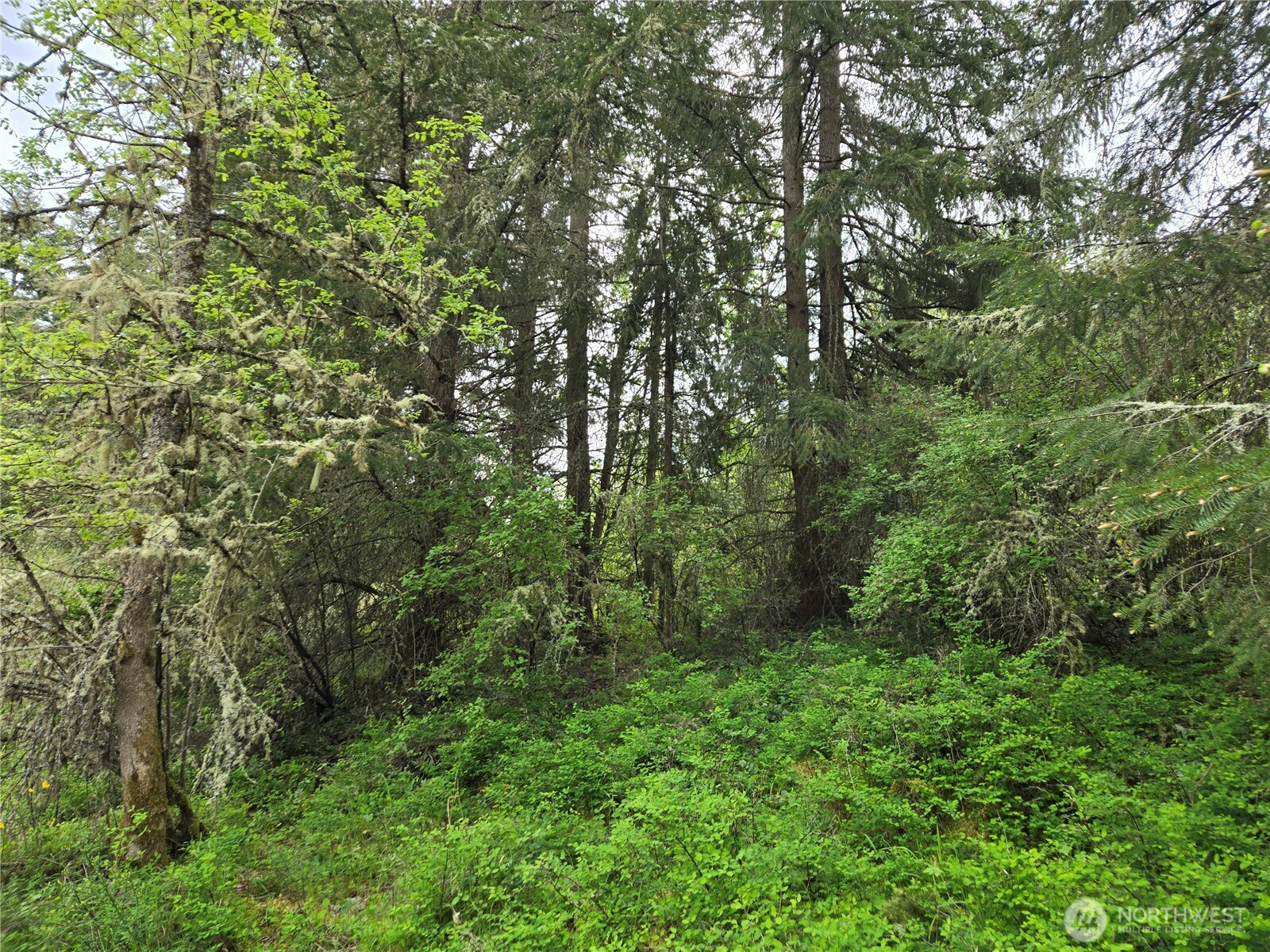 5102 Harts Lake Road Property Photo 22