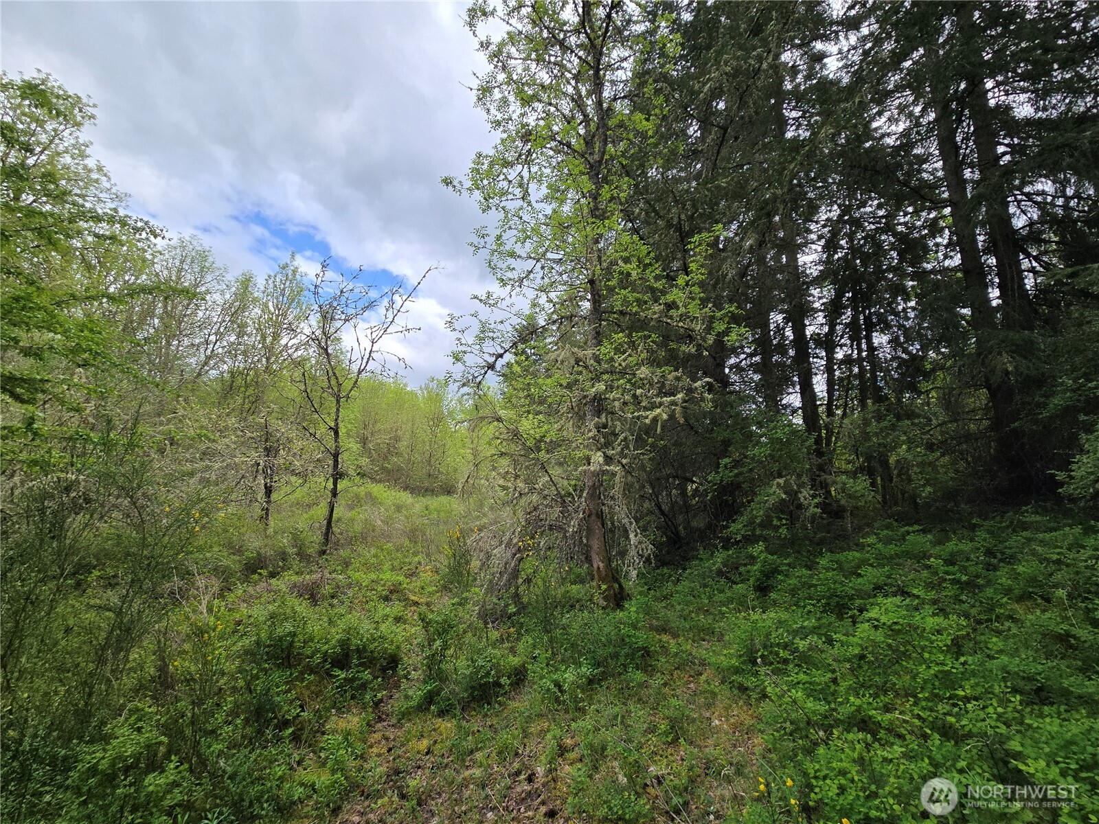 5102 Harts Lake Road Property Photo 23