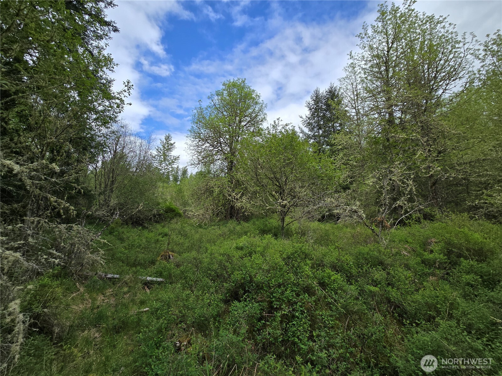 5102 Harts Lake Road Property Photo 24