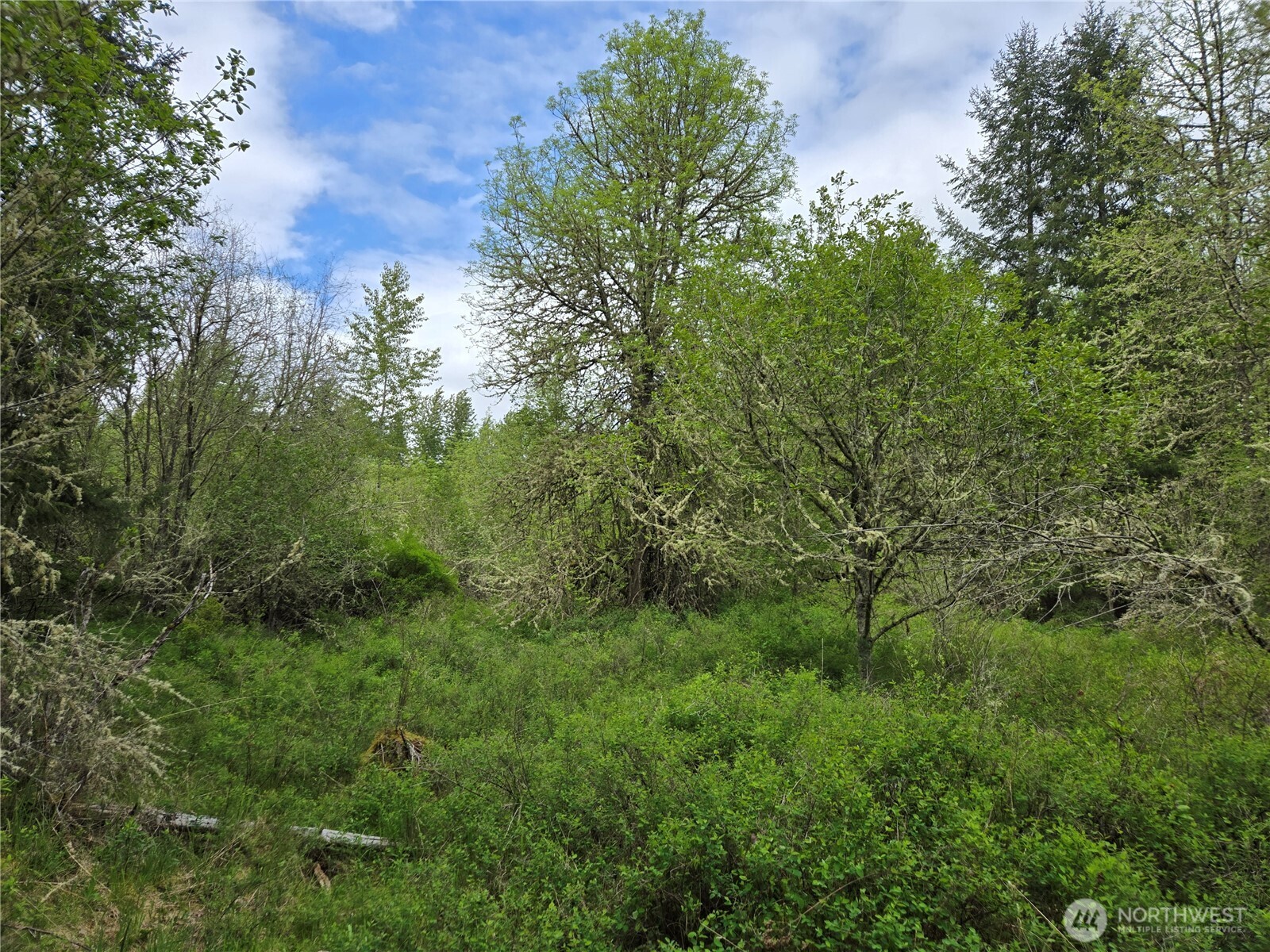 5102 Harts Lake Road Property Photo 25