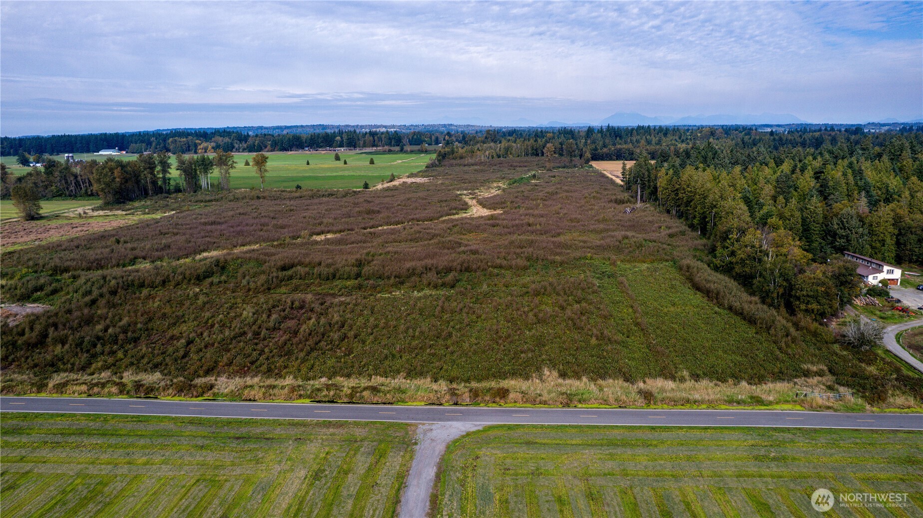 0 Willeys Lake Road Property Photo 4