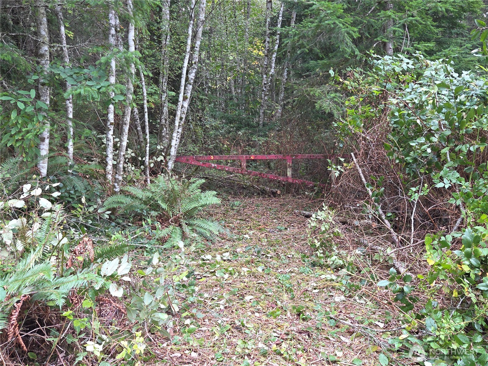 0 Xxx W Dry Lake Road Property Photo 1