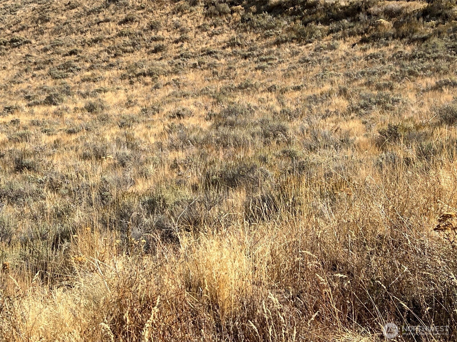 0 Nna Mountain Spring Road Property Photo 5