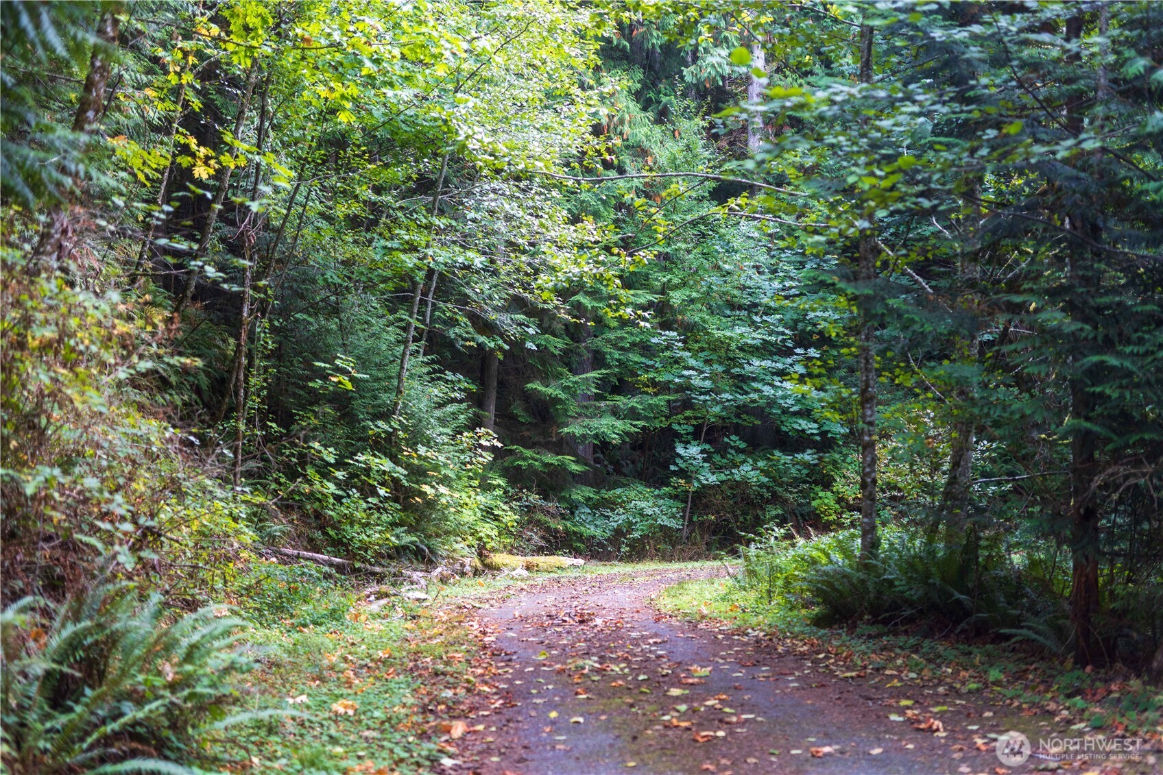 157 Chuckanut Crest Drive Property Photo 11
