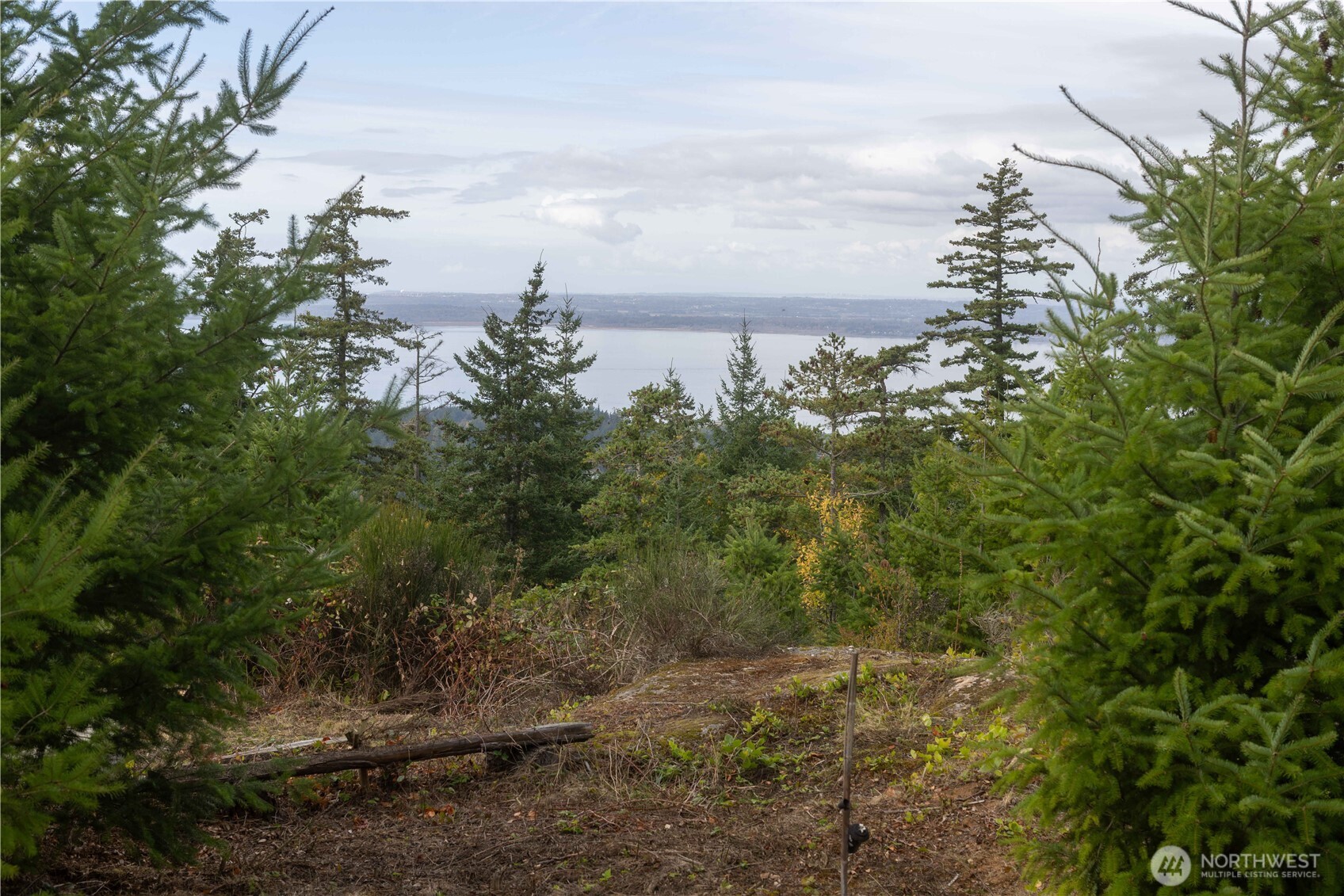157 Chuckanut Crest Drive Property Photo 15