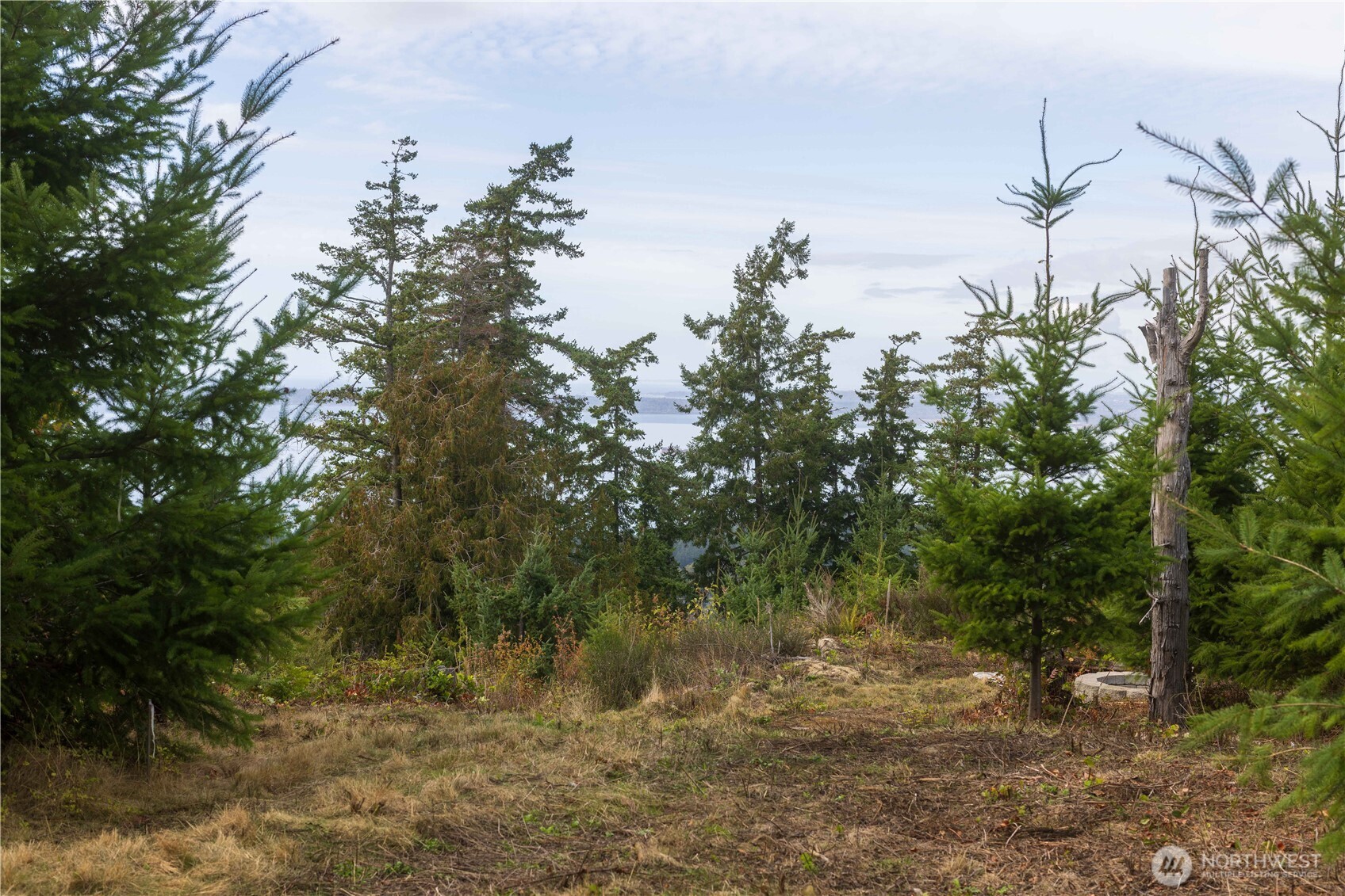 157 Chuckanut Crest Drive Property Photo 17