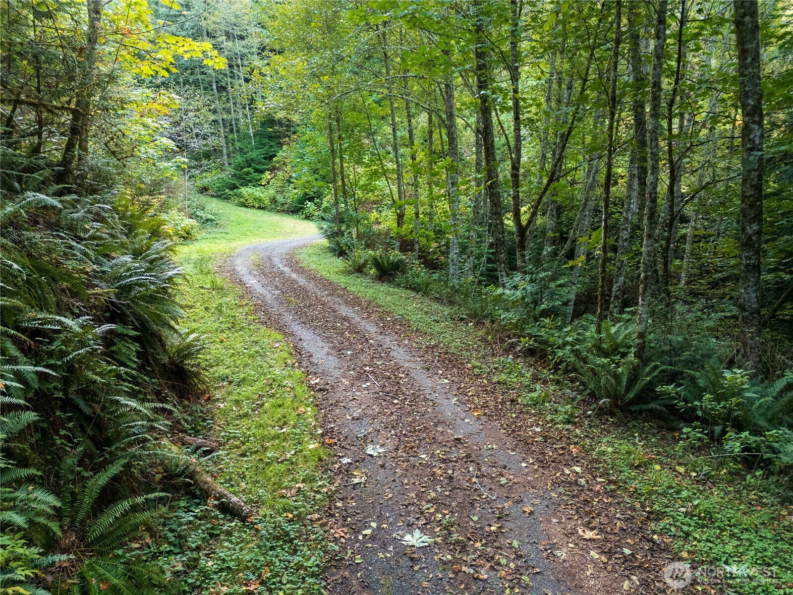 157 Chuckanut Crest Drive Property Photo 32