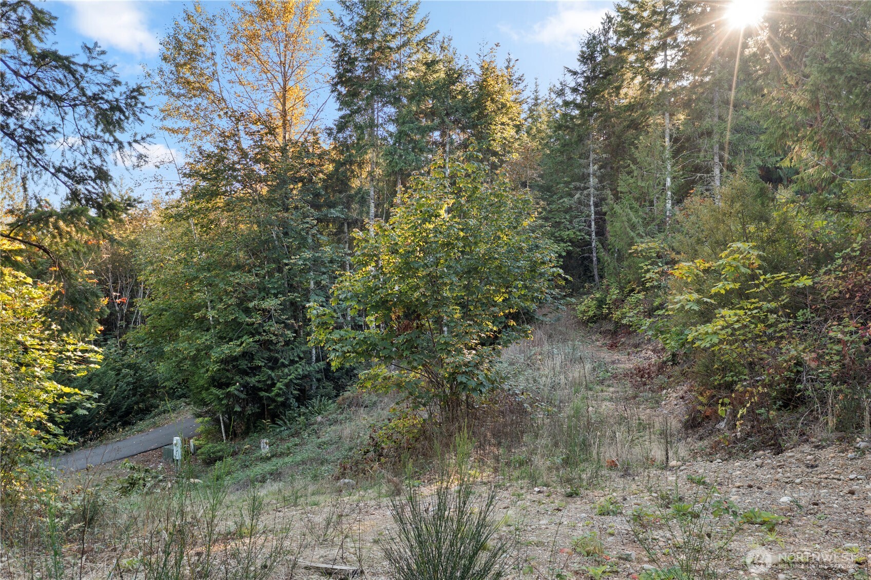 50 N Rustic Ridge Drive Property Photo 23