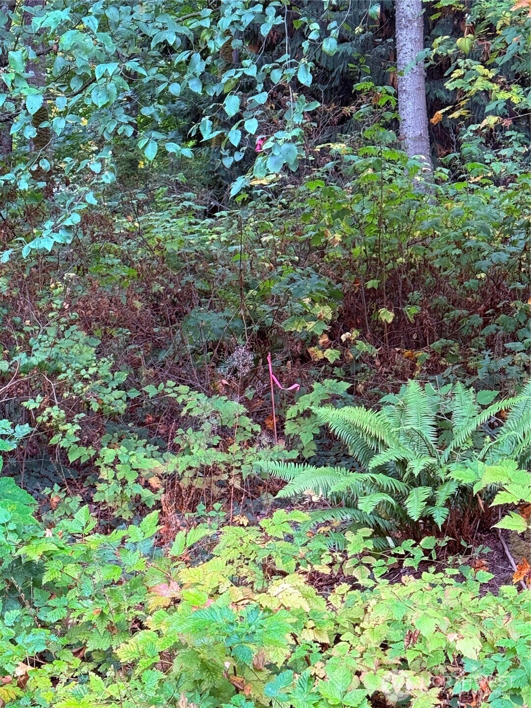 106 A Port Susan Drive Property Photo 5