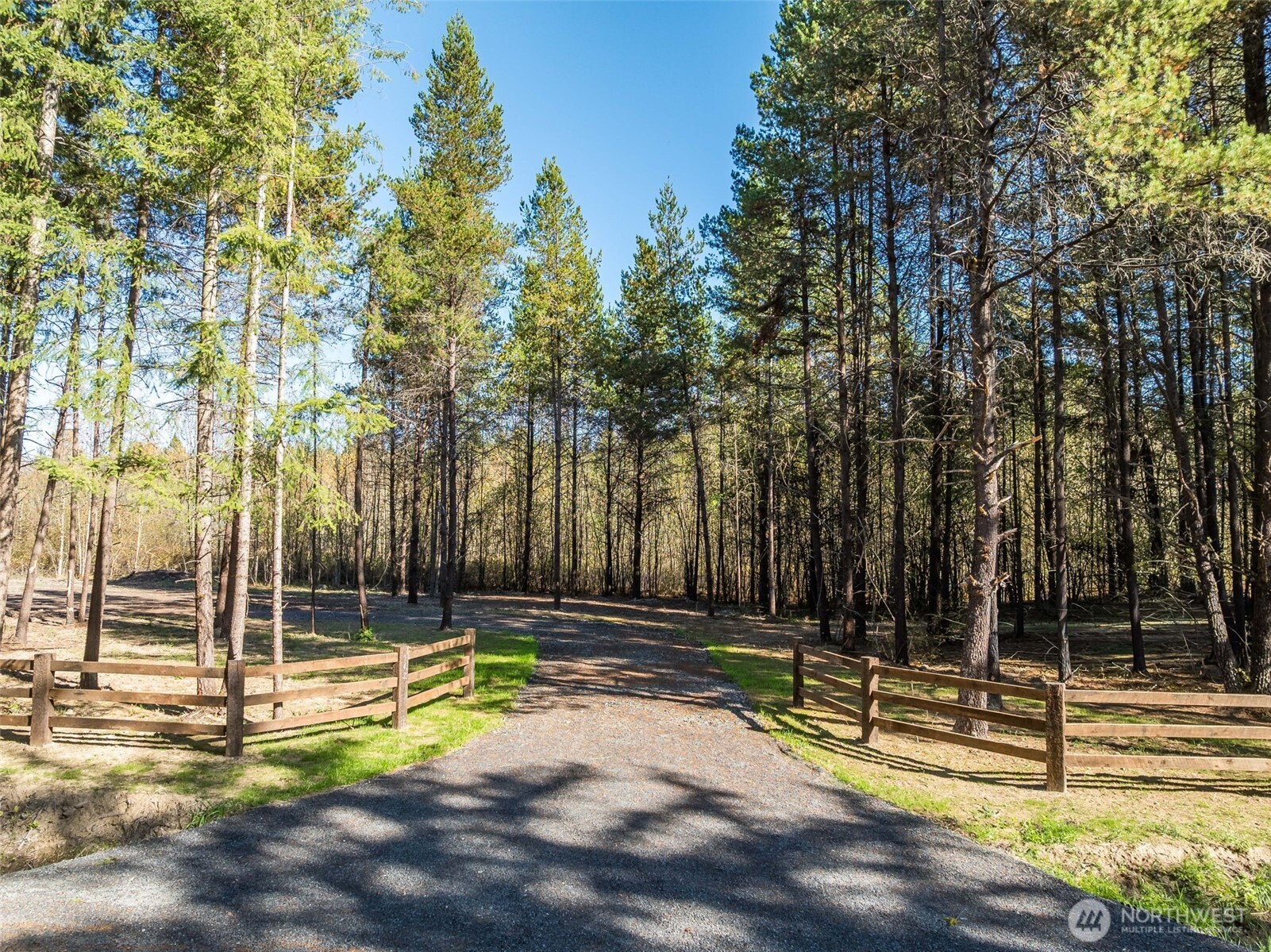 142 NICHOLSON Road Property Photo 1