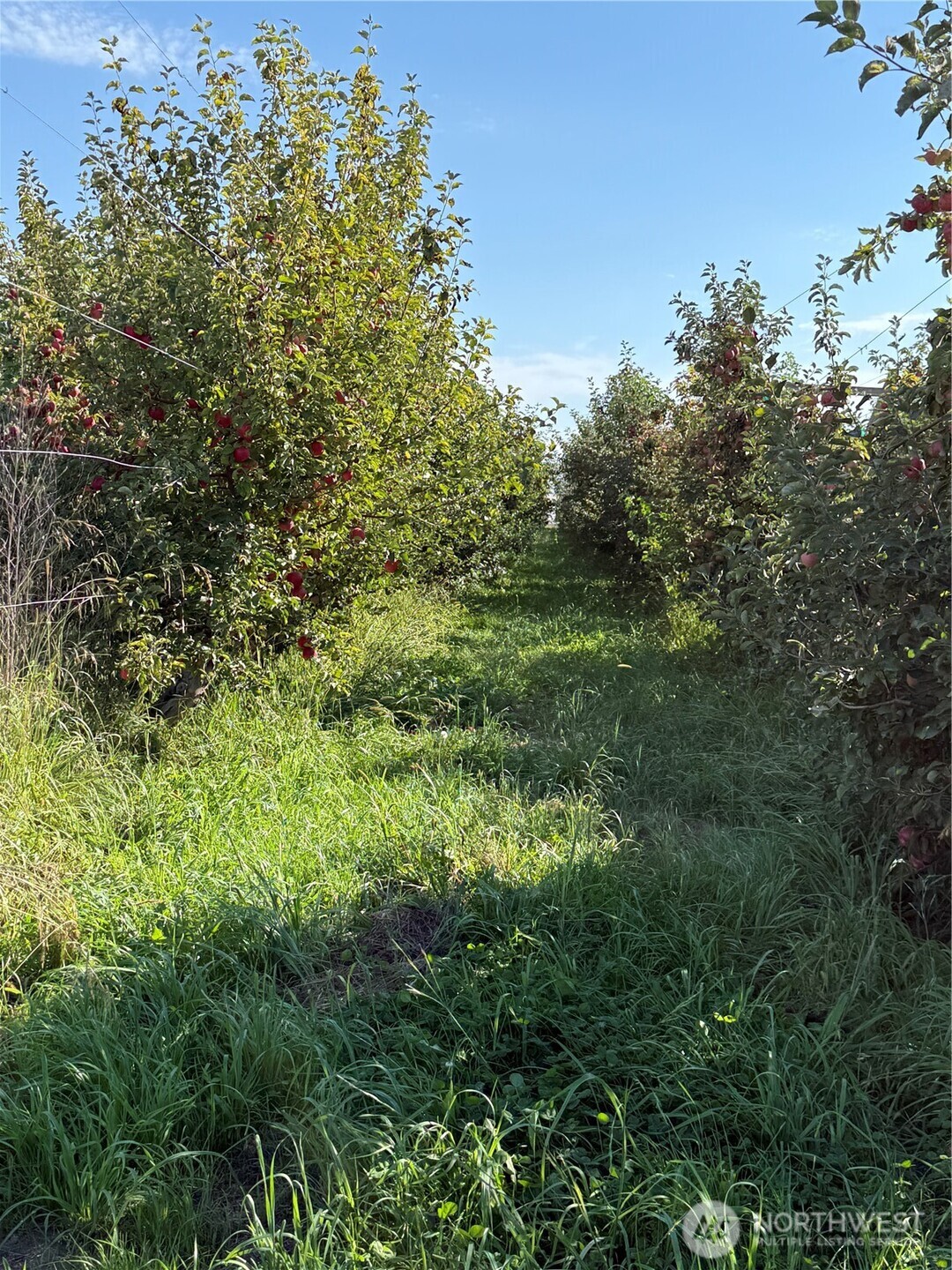 1 Mountain View Rd Property Photo 17