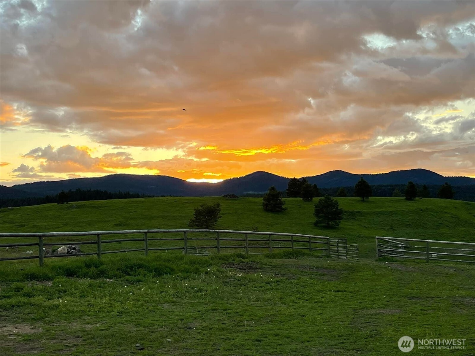 54 Hardrock Road Property Photo 34