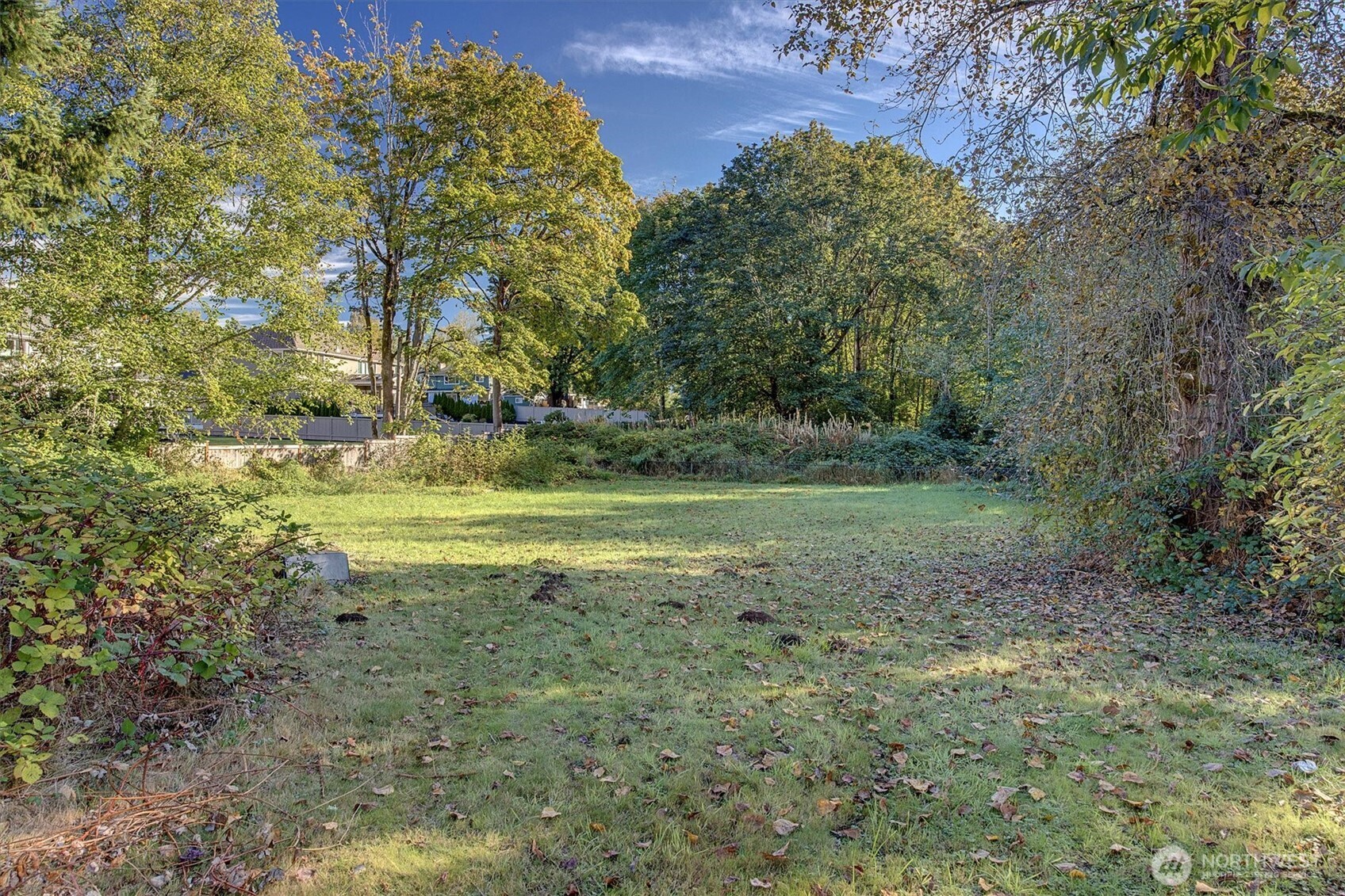 14024 169th Avenue Property Photo 31
