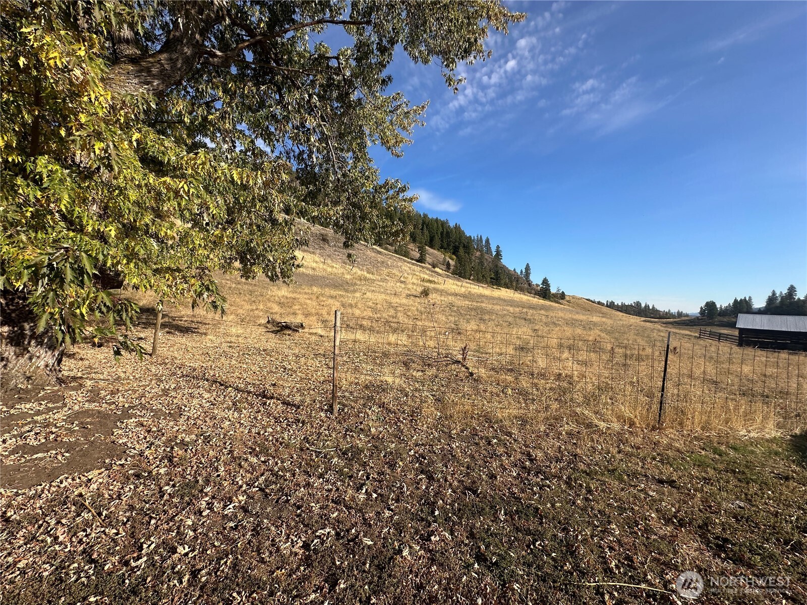 640 Highland Loop Road Property Photo 21