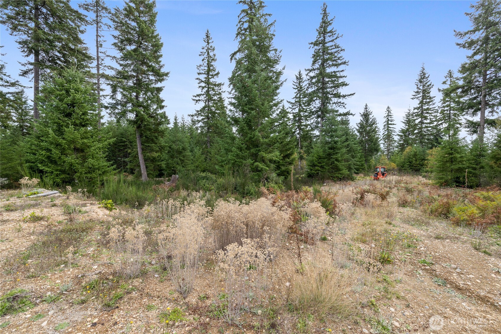 7201 Sw Ridgeline Drive Property Photo 8