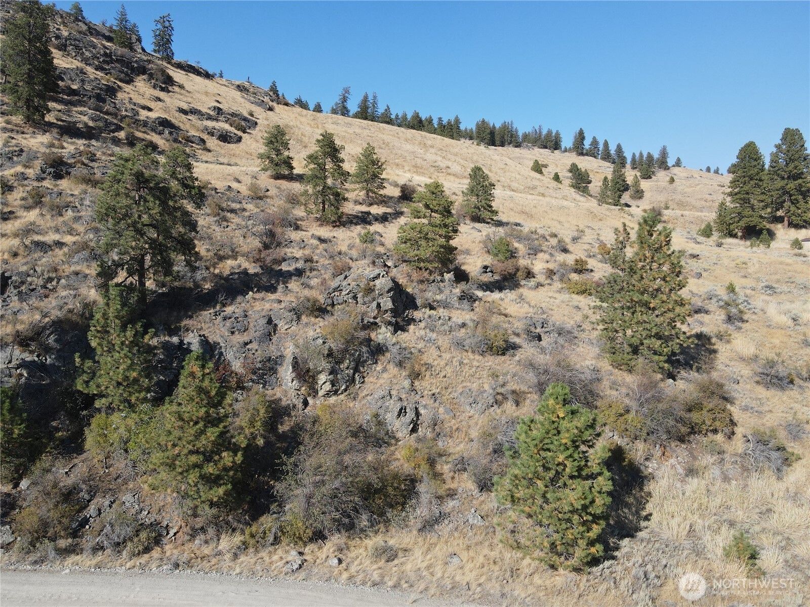 19 Meadowlark Road Property Photo 23