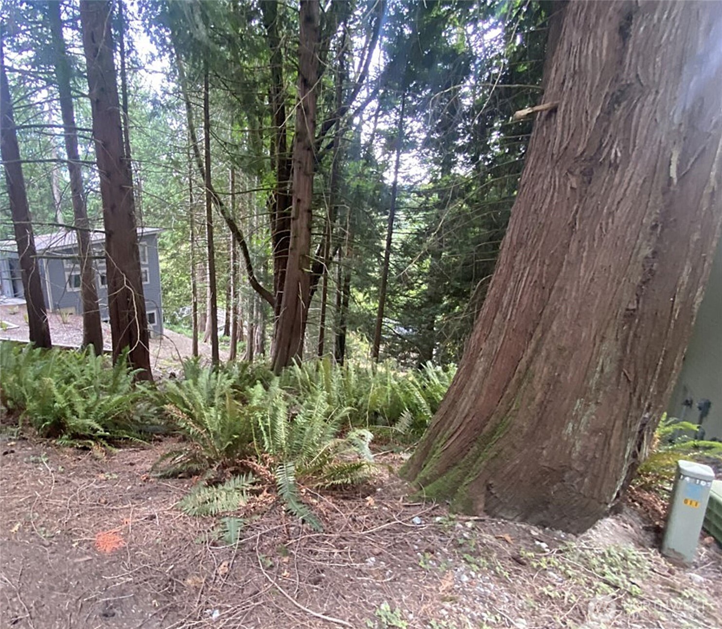 11 Granite Circle Property Photo 1