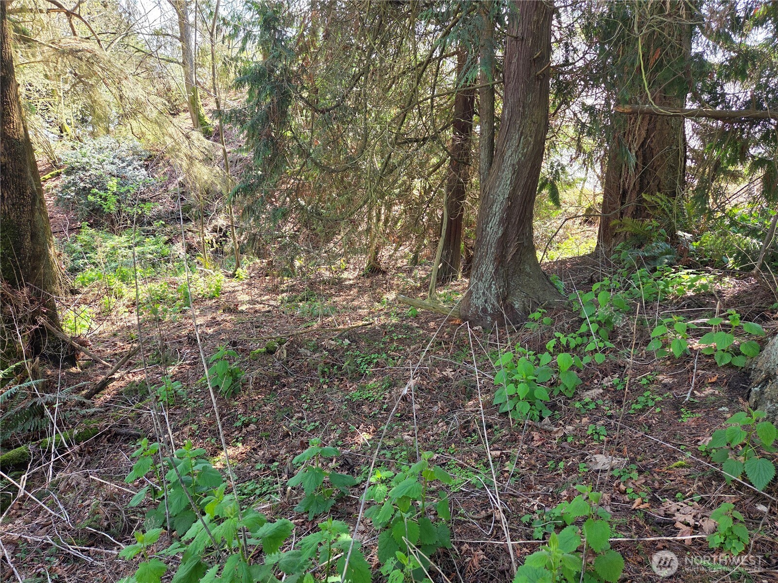12 W Gedney Way Property Photo 3