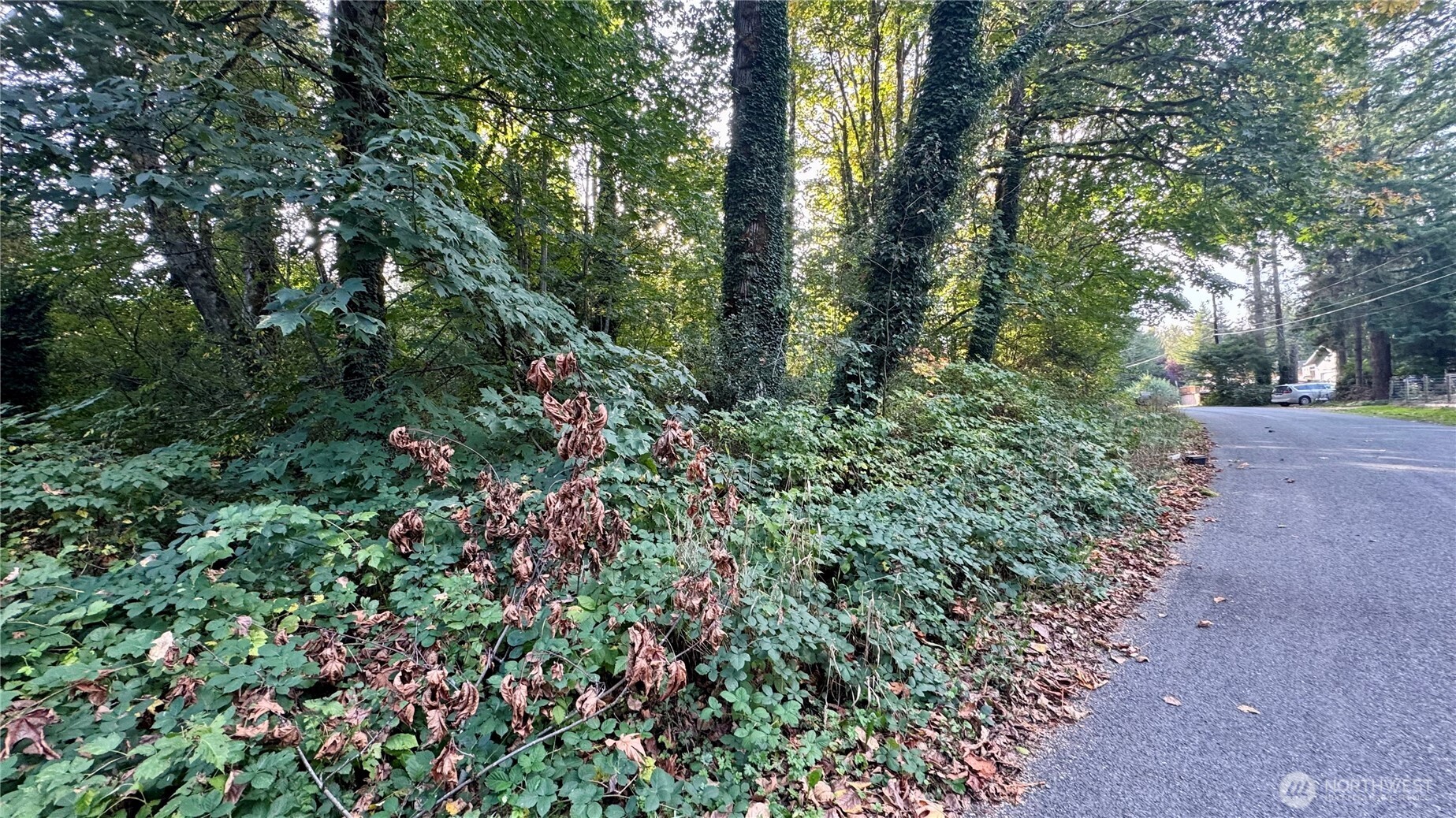 0 Lt 14&15 Cape Horn Drive Property Photo 3