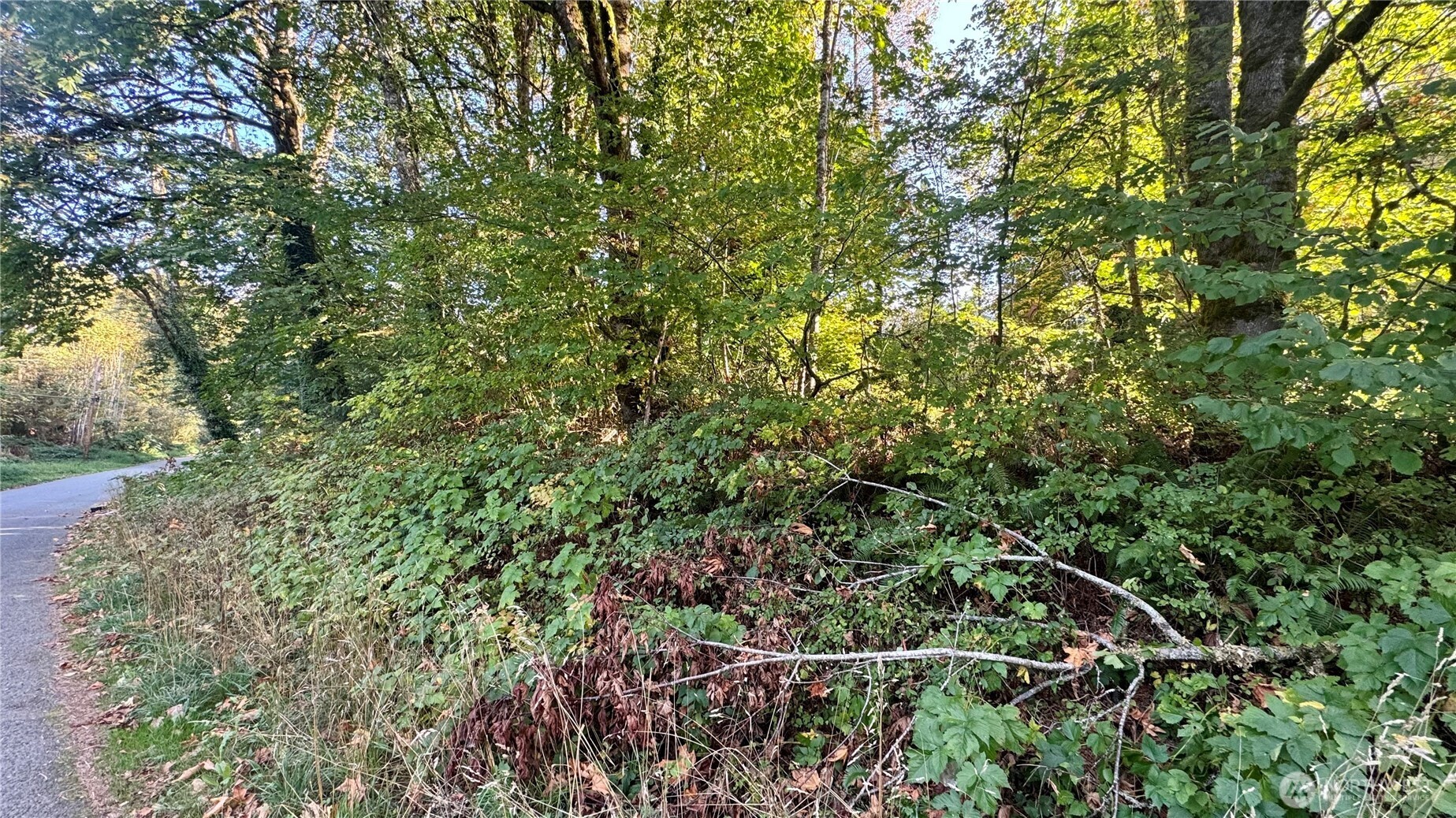 0 Lt 14&15 Cape Horn Drive Property Photo 7