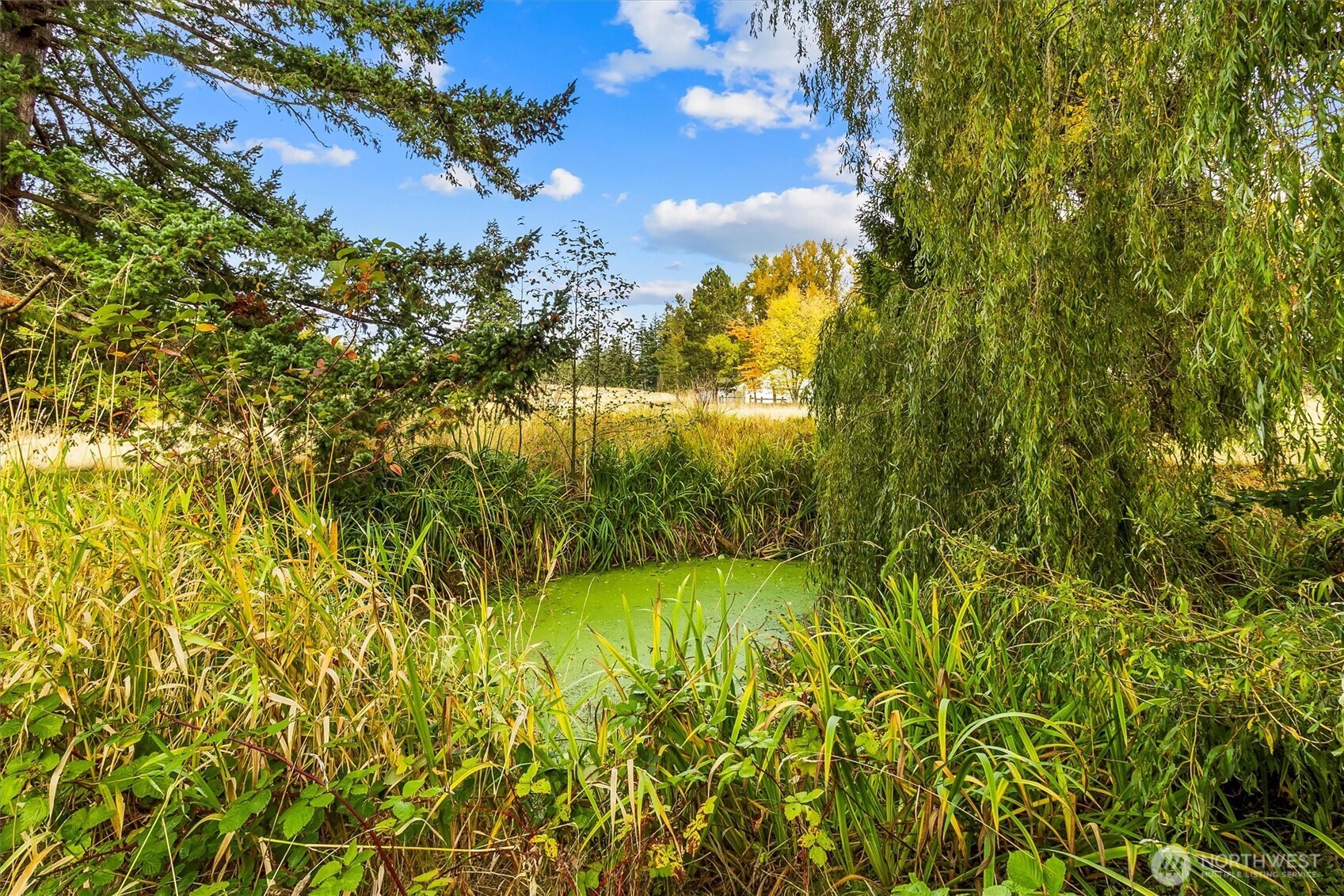 1430 Mt Baker Highway Property Photo 22