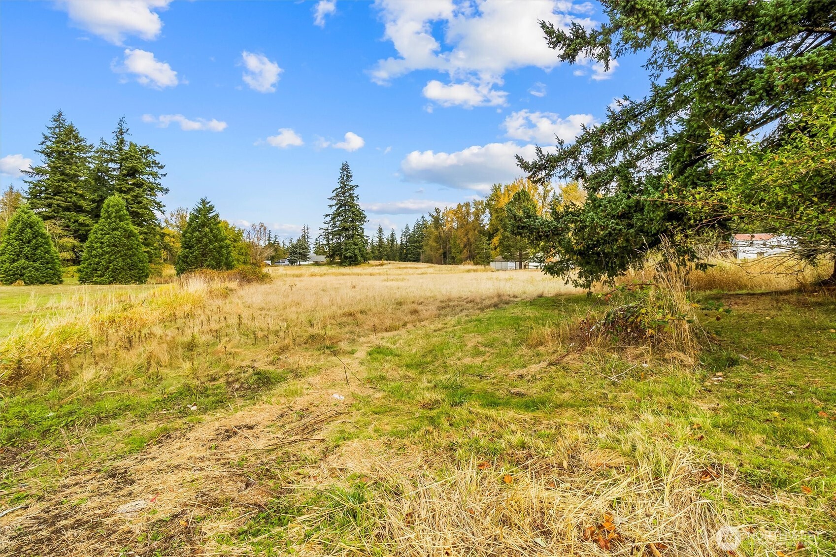 1430 Mt Baker Highway Property Photo 23