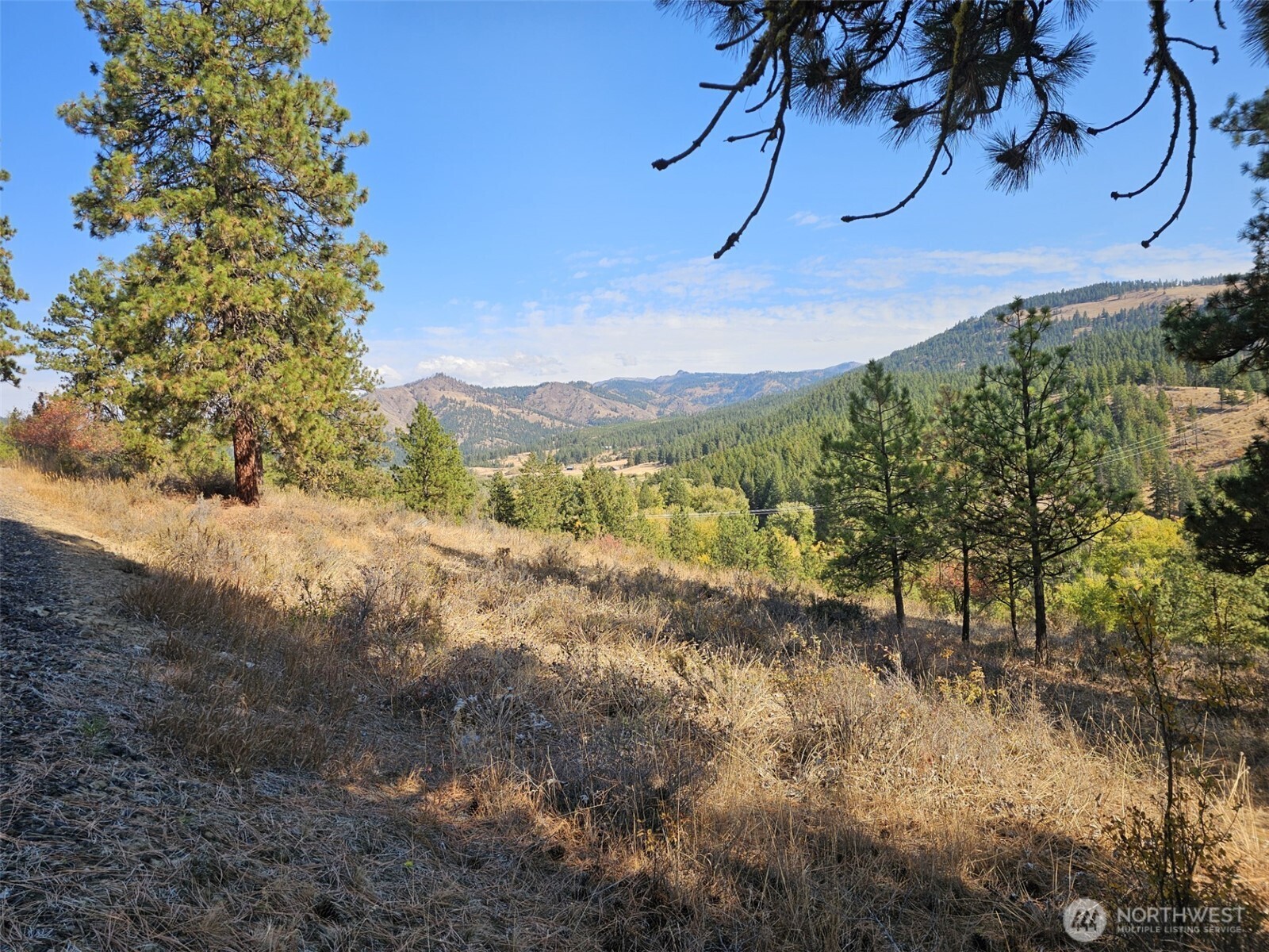 2 D Swauk Pines Road Property Photo 7