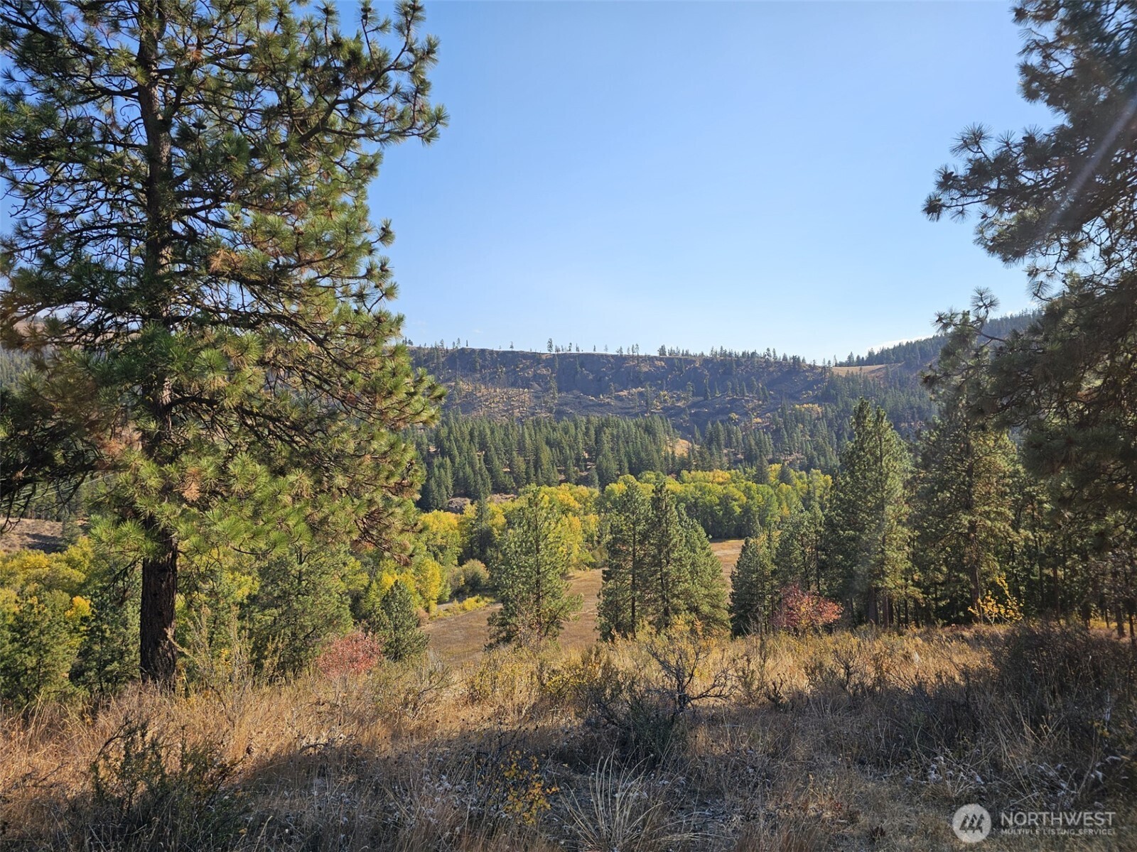 2 D Swauk Pines Road Property Photo 14