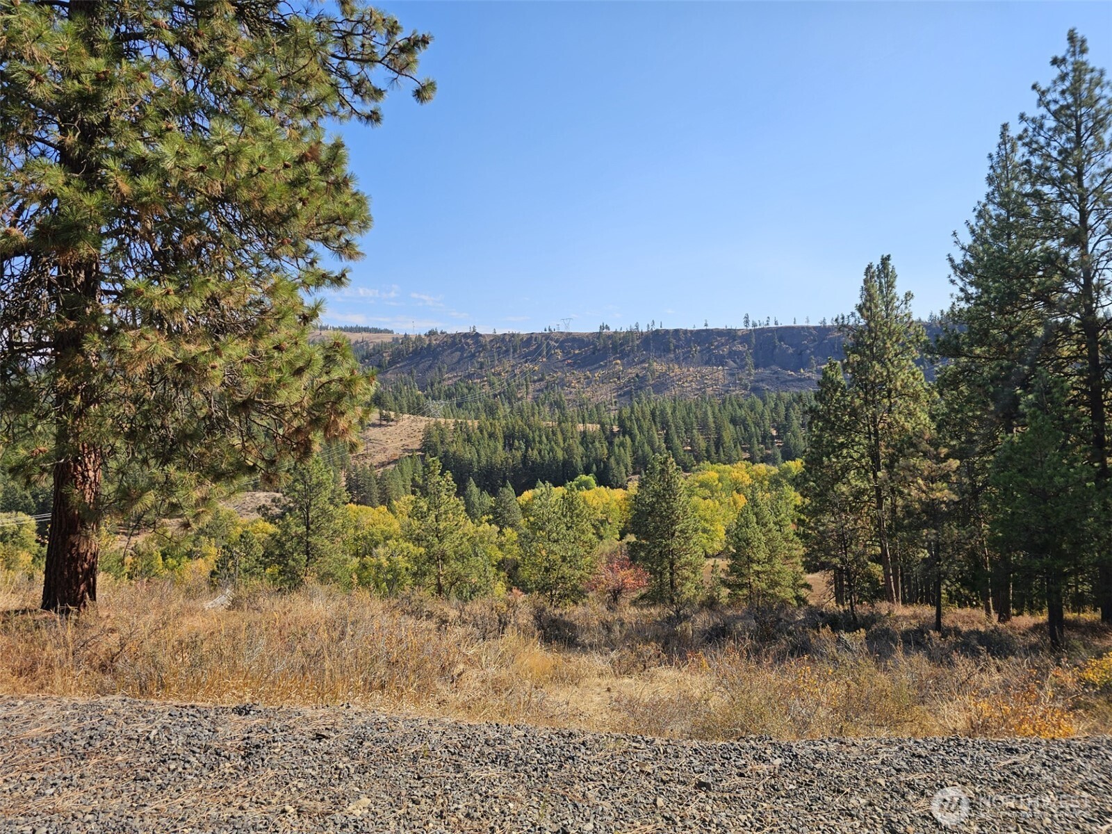 2 D Swauk Pines Road Property Photo 15
