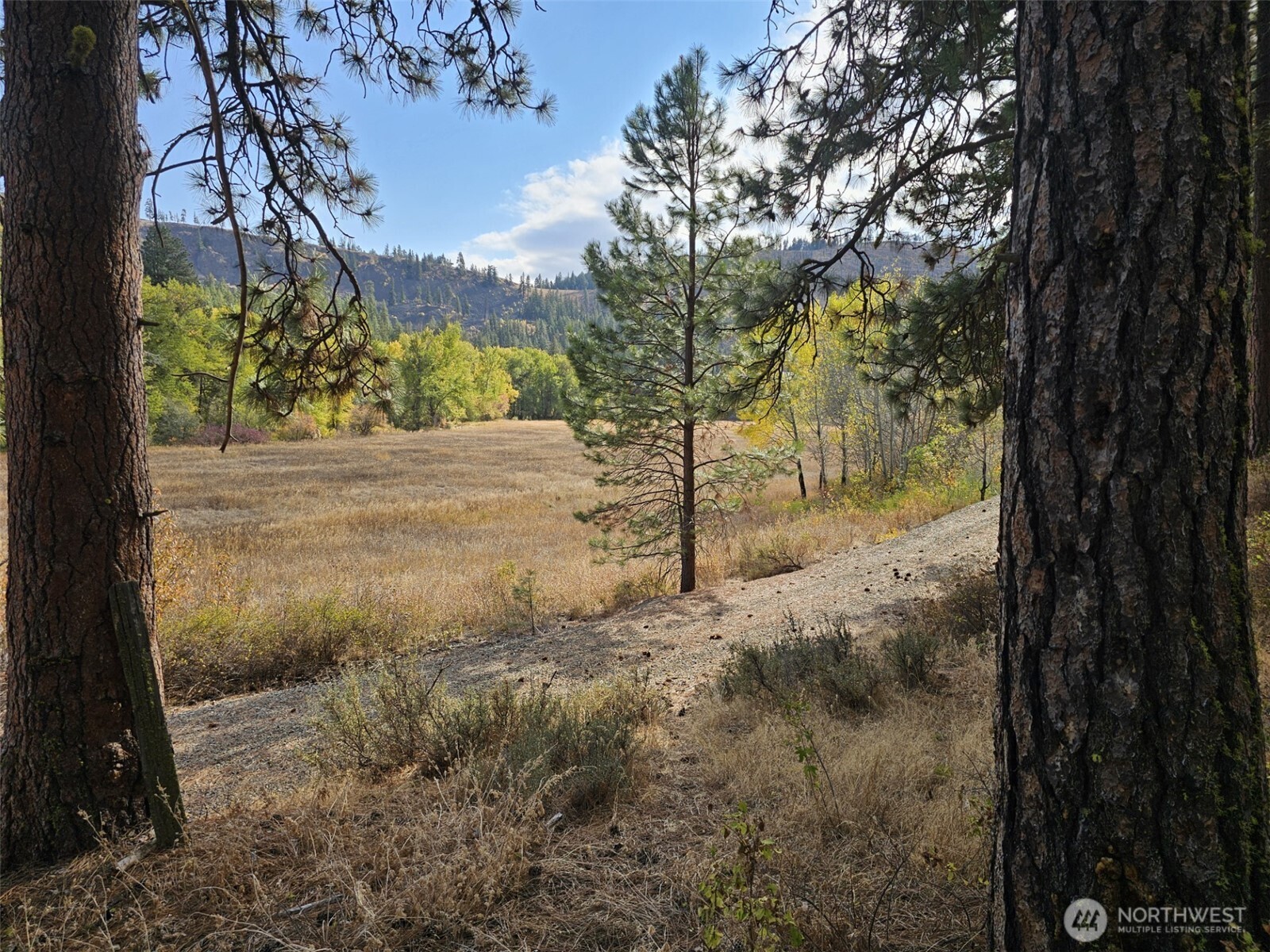 2 D Swauk Pines Road Property Photo 17
