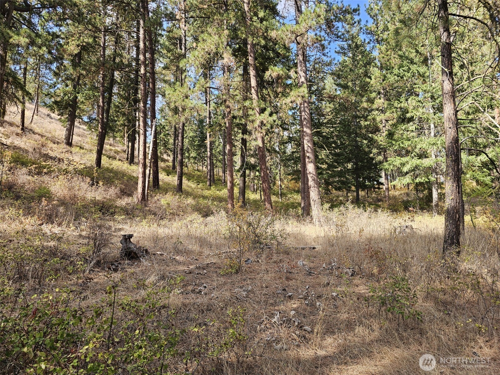 2 D Swauk Pines Road Property Photo 18