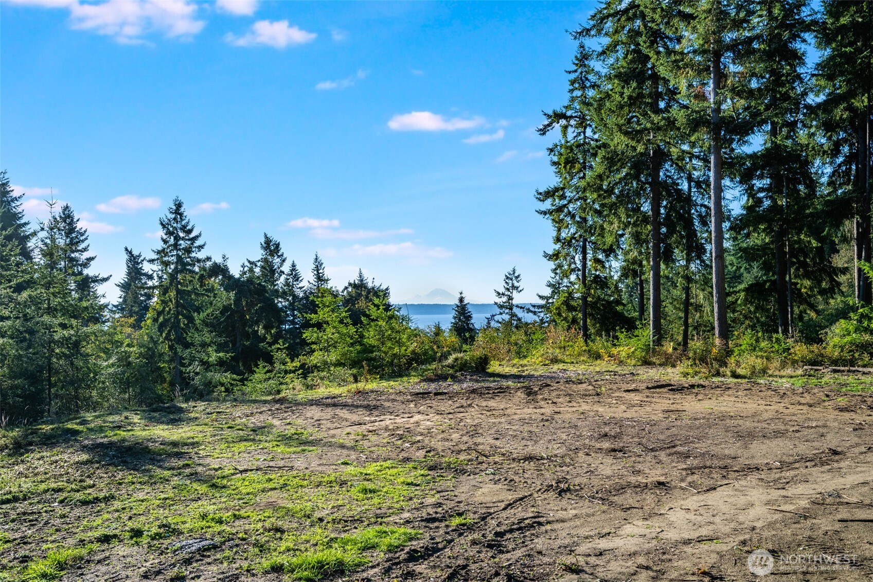 3681 Kingston Court Property Photo 7