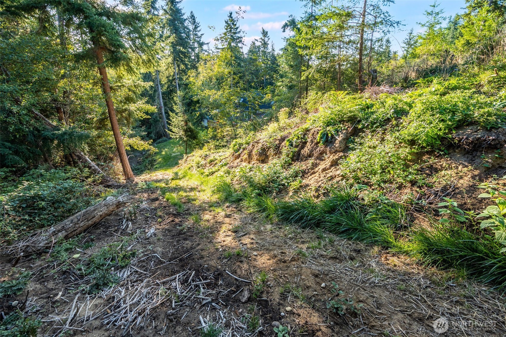 3681 Kingston Court Property Photo 17