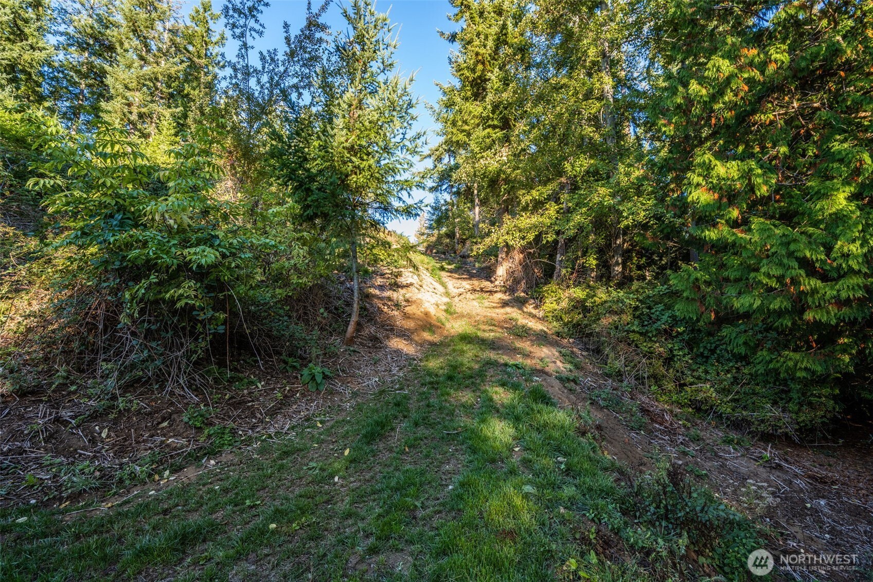 3681 Kingston Court Property Photo 25