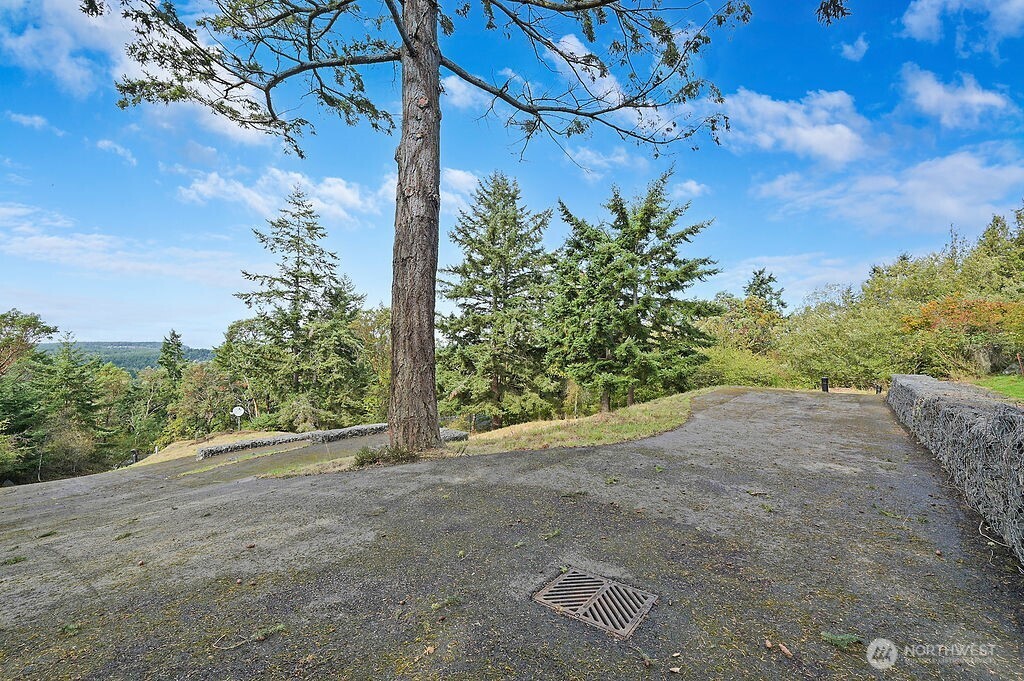 9999 Maple Parcel A Street Property Photo 6